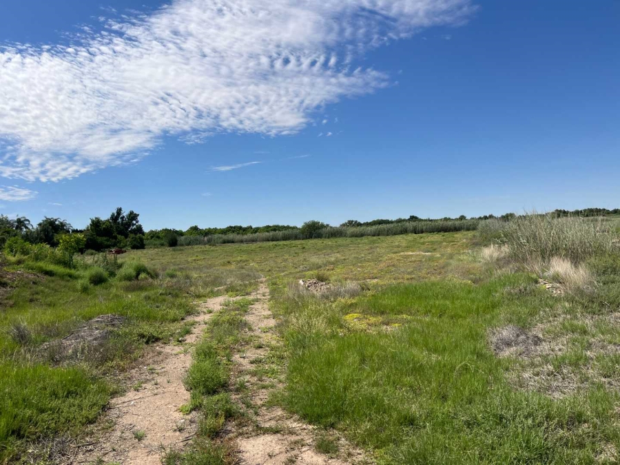 0 Bedroom Property for Sale in Middelpos Northern Cape